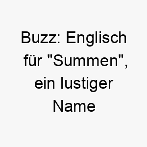 buzz englisch fuer summen ein lustiger name fuer einen kleinen energiegeladenen hund 17329