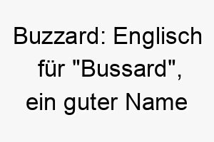 buzzard englisch fuer bussard ein guter name fuer einen hund mit adleraugen 17335