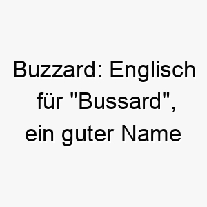 buzzard englisch fuer bussard ein guter name fuer einen hund mit adleraugen 17335