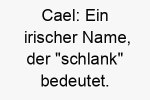 cael ein irischer name der schlank bedeutet perfekt fuer einen schlanken und athletischen hund 17936