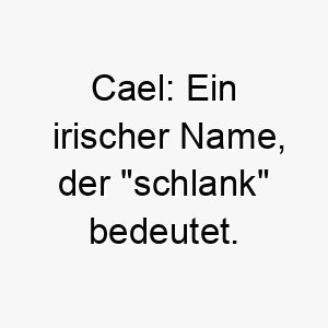 cael ein irischer name der schlank bedeutet perfekt fuer einen schlanken und athletischen hund 17936