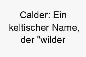 calder ein keltischer name der wilder wasserlauf bedeutet ein guter name fuer einen hund der die natur liebt 17722