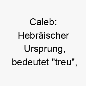 caleb hebraeischer ursprung bedeutet treu ideal fuer einen loyalen und treuen hund 17667