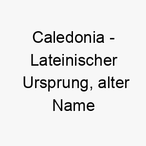 caledonia lateinischer ursprung alter name fuer schottland bedeutung als hundename fuer einen stolzen starken hund 13482