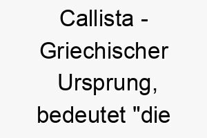 callista griechischer ursprung bedeutet die schoenste bedeutung als hundename fuer einen attraktiven schoenen hund 13564