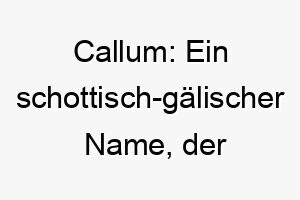 callum ein schottisch gaelischer name der taube bedeutet ideal fuer einen friedlichen sanftmuetigen hund 17898