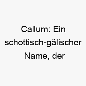 callum ein schottisch gaelischer name der taube bedeutet ideal fuer einen friedlichen sanftmuetigen hund 17898