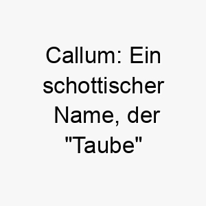 callum ein schottischer name der taube bedeutet koennte fuer einen friedlichen und sanften hund geeignet sein 17699