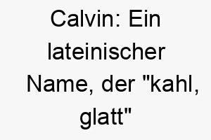 calvin ein lateinischer name der kahl glatt bedeutet passend fuer einen glatten kurzhaarigen hund 17892