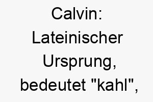 calvin lateinischer ursprung bedeutet kahl koennte fuer einen kurzhaarigen hund passen 17680