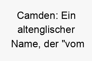 camden ein altenglischer name der vom gewundenen tal bedeutet koennte fuer einen hund geeignet sein der gerne im freien herumtollt 17726