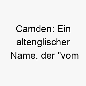 camden ein altenglischer name der vom gewundenen tal bedeutet koennte fuer einen hund geeignet sein der gerne im freien herumtollt 17726