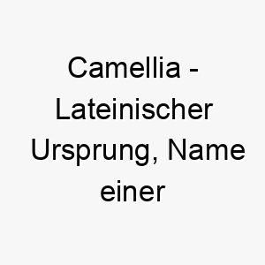 camellia lateinischer ursprung name einer blumenart bedeutung als hundename fuer einen schoenen bluehenden hund 13571