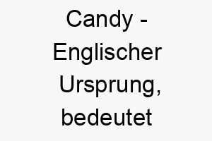 candy englischer ursprung bedeutet suessigkeit bedeutung als hundename fuer einen suessen liebenswerten hund 2 13575