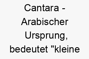 cantara arabischer ursprung bedeutet kleine bruecke bedeutung als hundename fuer einen verbindenden geselligen hund 13382