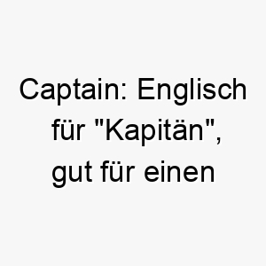 captain englisch fuer kapitaen gut fuer einen anfuehrer oder einen starken unabhaengigen hund 17689