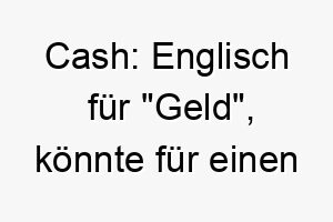 cash englisch fuer geld koennte fuer einen wertvollen oder sehr geliebten hund passen 17688