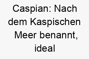 caspian nach dem kaspischen meer benannt ideal fuer einen hund der wasser liebt 17720