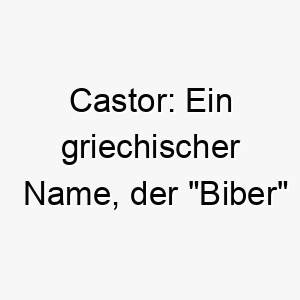 castor ein griechischer name der biber bedeutet koennte fuer einen fleissigen hund passend sein 17706