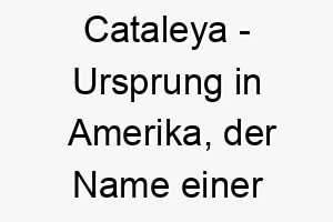 cataleya ursprung in amerika der name einer orchideenart bedeutung als hundename fuer einen eleganten exotischen hund 13545