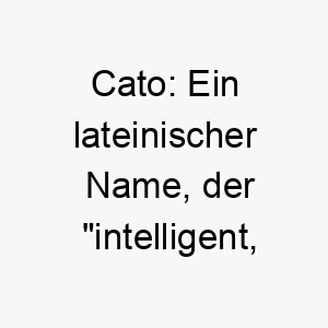 cato ein lateinischer name der intelligent klug bedeutet passend fuer einen schlauen hund 17701