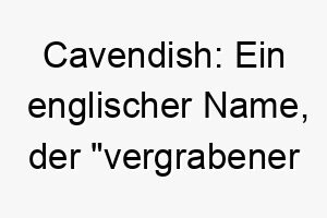 cavendish ein englischer name der vergrabener schatz bedeutet perfekt fuer einen besonders wertvollen und geliebten hund 17950