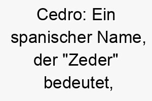 cedro ein spanischer name der zeder bedeutet ideal fuer einen starken standhaften hund 17732