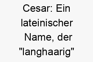 cesar ein lateinischer name der langhaarig bedeutet ideal fuer einen hund mit langem fell 2 17900