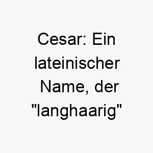 cesar ein lateinischer name der langhaarig bedeutet ideal fuer einen hund mit langem fell 2 17900