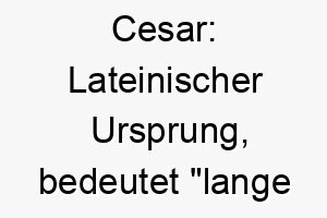 cesar lateinischer ursprung bedeutet lange haare ideal fuer einen hund mit langem fell 17673