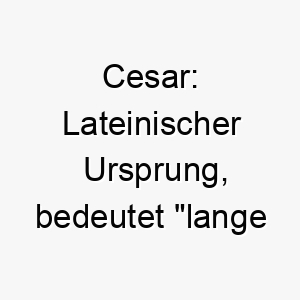 cesar lateinischer ursprung bedeutet lange haare ideal fuer einen hund mit langem fell 17673