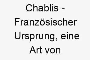 chablis franzoesischer ursprung eine art von wein bedeutung als hundename fuer einen edlen feinen hund 13388