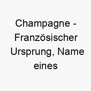 champagne franzoesischer ursprung name eines getraenks bedeutung als hundename fuer einen feierlichen lebhaften hund 13324