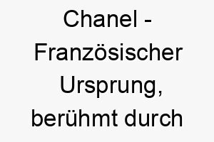 chanel franzoesischer ursprung beruehmt durch die modeschoepferin coco chanel bedeutung als hundename fuer einen eleganten modischen hund 13354