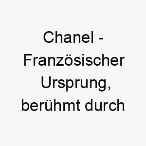 chanel franzoesischer ursprung beruehmt durch die modeschoepferin coco chanel bedeutung als hundename fuer einen eleganten modischen hund 13354