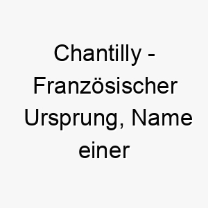 chantilly franzoesischer ursprung name einer stadt in frankreich bekannt fuer spitze und sahne bedeutung als hundename fuer einen eleganten suessen hund 13551