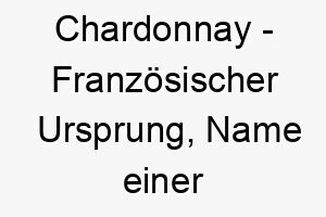 chardonnay franzoesischer ursprung name einer weinsorte bedeutung als hundename fuer einen eleganten raffinierten hund 13589