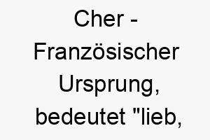 cher franzoesischer ursprung bedeutet lieb teuer bedeutung als hundename fuer einen geliebten und wertvollen hund 13358