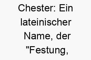 chester ein lateinischer name der festung lager bedeutet passend fuer einen schuetzenden loyalen hund 17909