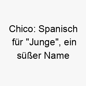 chico spanisch fuer junge ein suesser name fuer einen jungen oder kleinen hund 17691