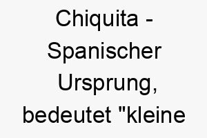 chiquita spanischer ursprung bedeutet kleine dame bedeutung als hundename fuer einen kleinen liebenswerten hund 13556