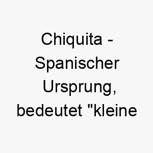 chiquita spanischer ursprung bedeutet kleine dame bedeutung als hundename fuer einen kleinen liebenswerten hund 13556