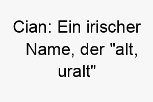 cian ein irischer name der alt uralt bedeutet passend fuer einen weisen oder reifen hund 17927