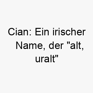 cian ein irischer name der alt uralt bedeutet passend fuer einen weisen oder reifen hund 17927