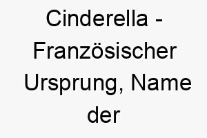 cinderella franzoesischer ursprung name der beruehmten maerchenfigur bedeutung als hundename fuer einen bescheidenen liebenswerten hund der sich in eine prinzessin verwandeln kann 13475