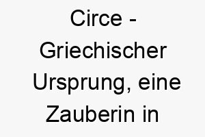 circe griechischer ursprung eine zauberin in der griechischen mythologie bedeutung als hundename fuer einen geheimnisvollen faszinierenden hund 13471