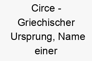 circe griechischer ursprung name einer zauberin in der griechischen mythologie bedeutung als hundename fuer einen mysterioesen faszinierenden hund 13549