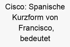 cisco spanische kurzform von francisco bedeutet freier mann 17684