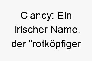 clancy ein irischer name der rotkoepfiger krieger bedeutet passend fuer einen rothaarigen hund 17698