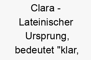 clara lateinischer ursprung bedeutet klar hell bedeutung als hundename fuer einen hellen oder intelligenten hund 13098